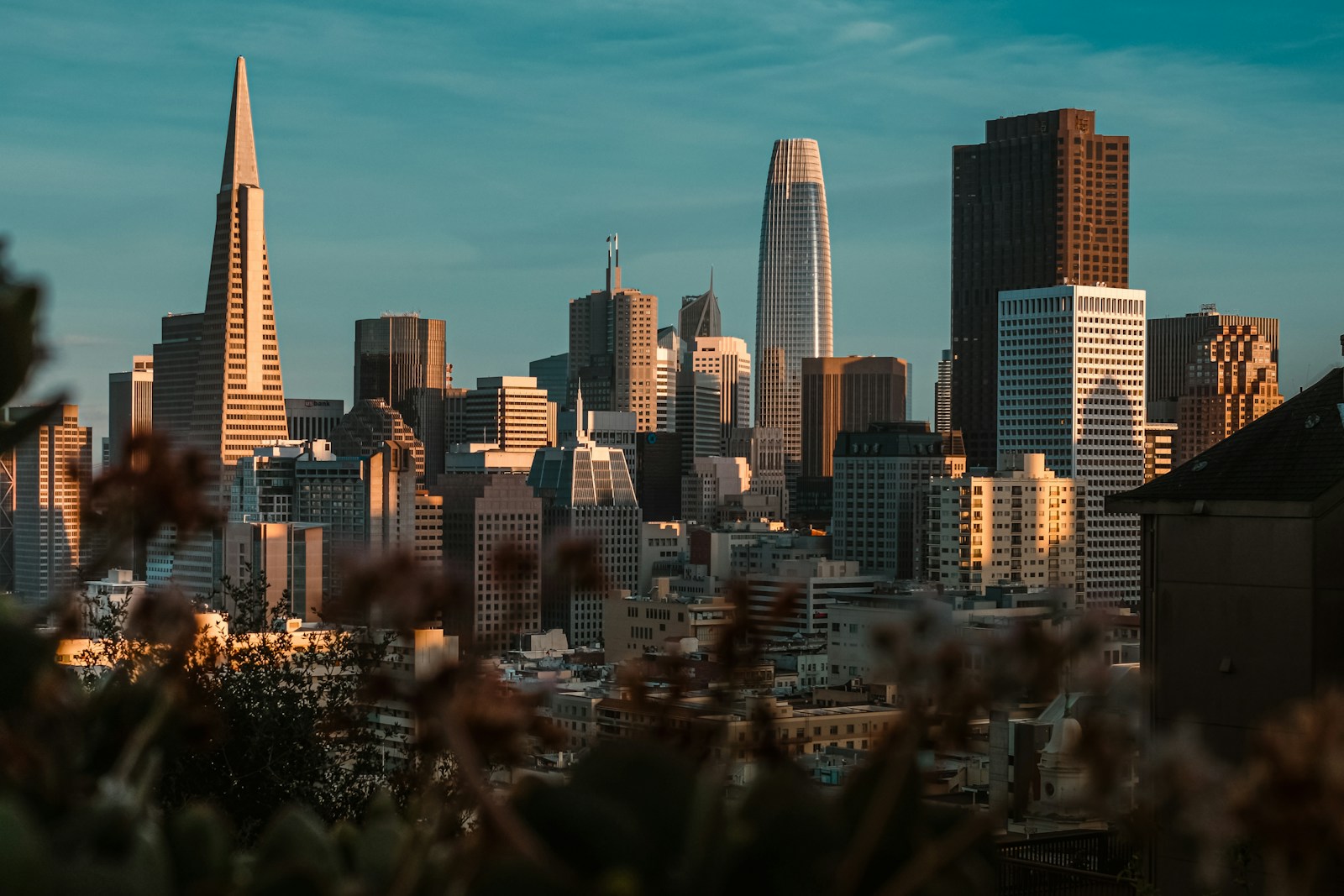 Downtown San Francisco skyline in golden evening light
