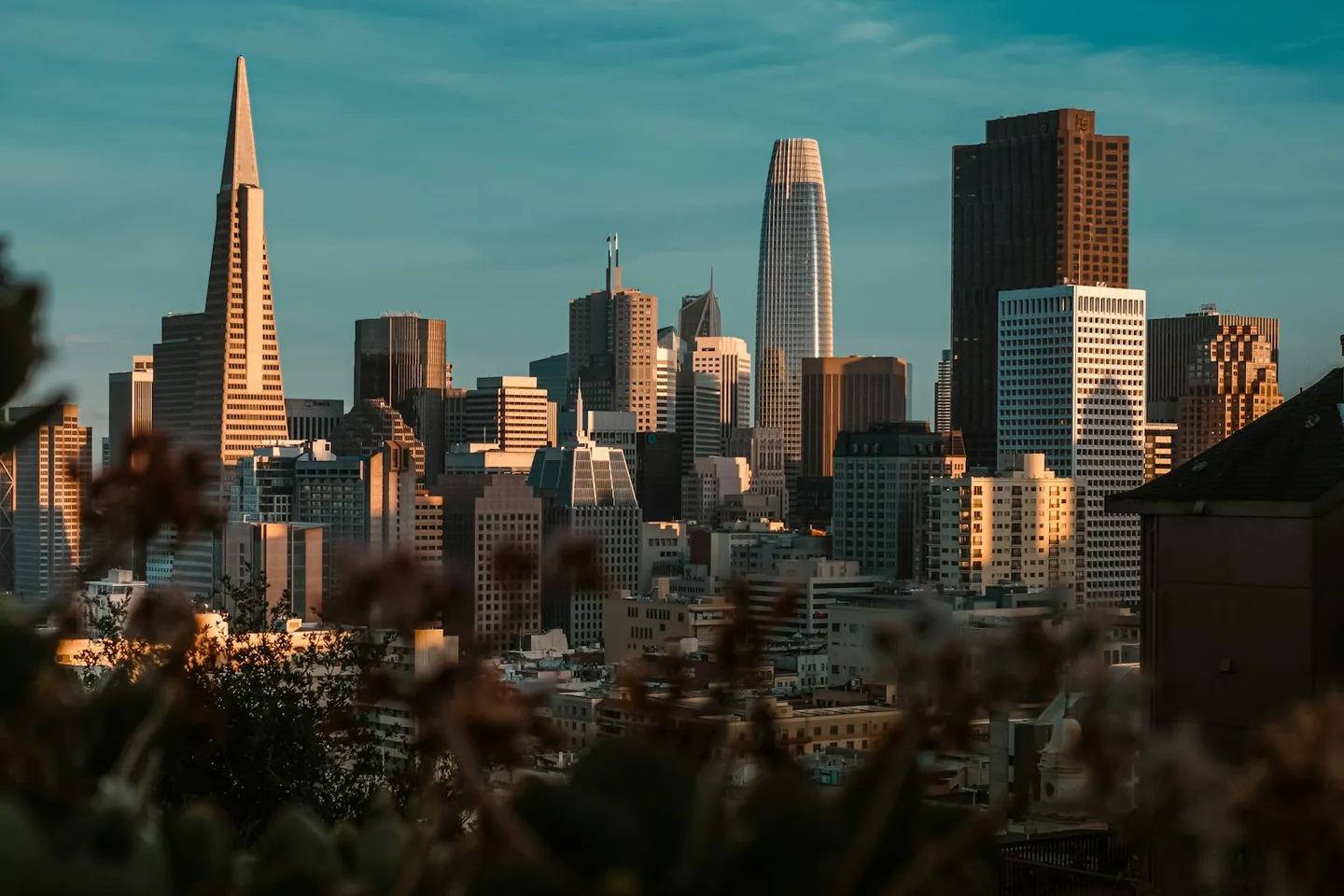 Downtown San Francisco skyline in golden evening light